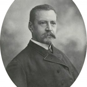 Elwiro Michał Andriolli