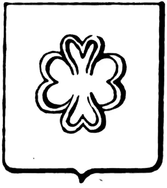 Sari