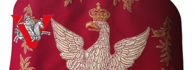 WOJSKA PANCERNE, SPADOCHRONOWE I LOTNICTWO, MARYNARKA WOJENNA, POWSTANIA - zdjęcia, dokumenty, falerystyka