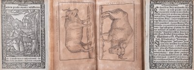PIERWSZA DRUKOWANA KSIĄŻKA W JĘZYKU POLSKIM: Hortulus animae – Raj duszny [karta];Siegmund von Herberstein. Rerum Moscoviticarum Auctores Varii [...] 1600 r. – w tym DRZEWORYTY TURA I ŻUBRA; UNIKATOWE KOŁA „PRAKTYCZNO-ARYTMETYCZNE" WILNO-ODESSA 1845r