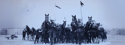 V AUKCJA: Zdjęcia Wojskowe, Dokumenty, Falerystyka, Monety, Banknoty, Judaika, Patriotyki