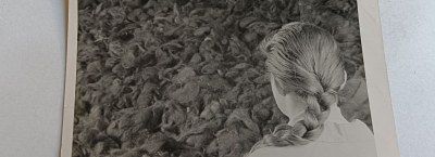 Aukcja XLII Finus - POCZTÓWKI, DOKUMENTY I ZDJĘCIA