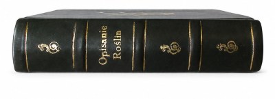 10º Leilão de Livros e Antiguidades