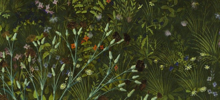 Botaniczny spacer po Prado