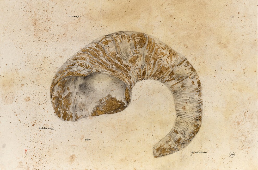 Damiena Hirsta Rysunki