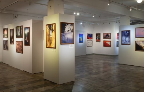 FOTOGRAFIA DZIKIEJ PRZYRODY