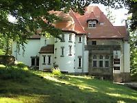 Barwny świat ptaków – pochodzenie ptaków.