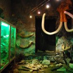 Geologiczna historia Zagłębia Dąbrowskiego