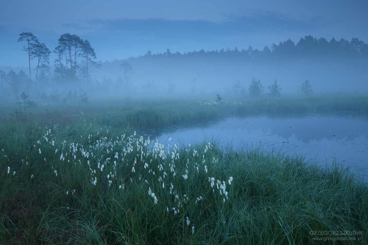 „Obary” wystawa fotografii Grzegorza Szkutnika