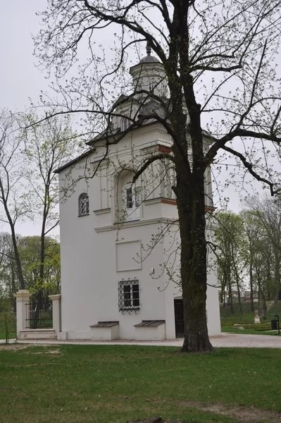 „Archeologia na bialskim zamku”