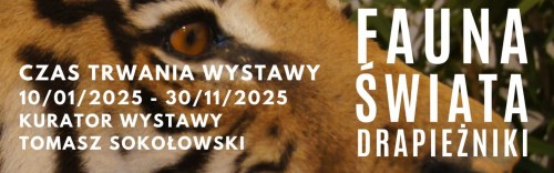 Barwny świat ptaków – pochodzenie ptaków.