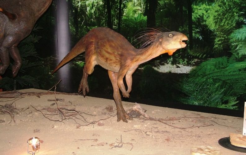 Paleontologia