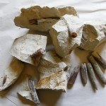 Geologia na terenie Powiatu Opolskiego