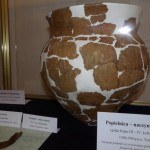 Archeologia z terenu Powiatu Opolskiego