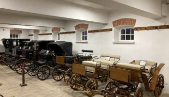 Wiatrak koźlak z Niemyj Nowych