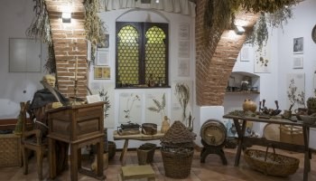 Wiatrak koźlak z Niemyj Nowych