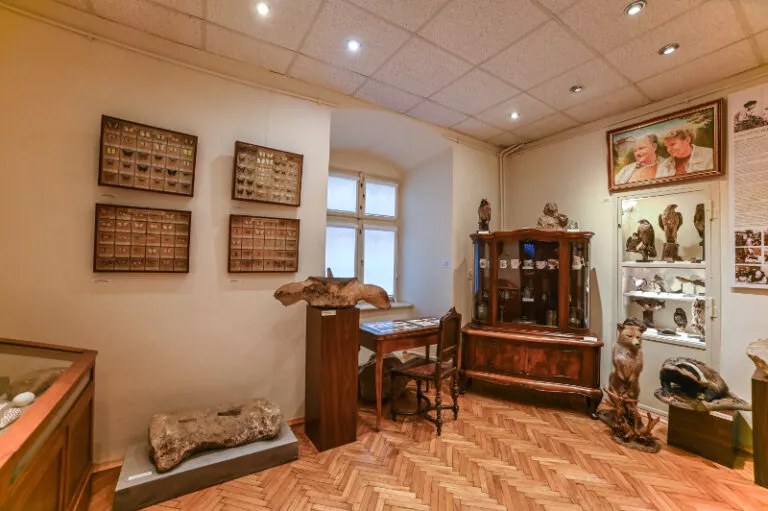 Gabinet Osobliwości