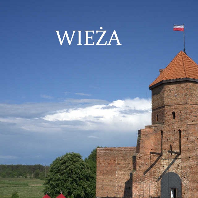 Wieża