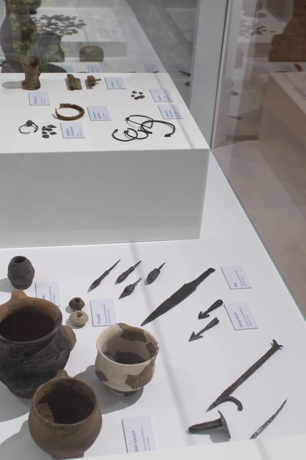 Dział archeologii