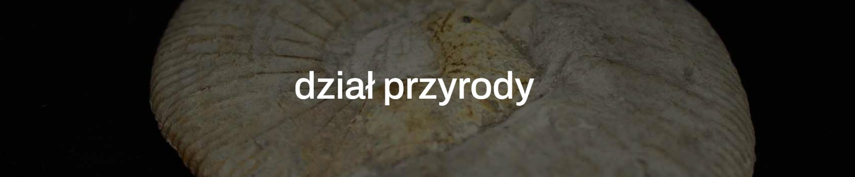 Dział przyrody