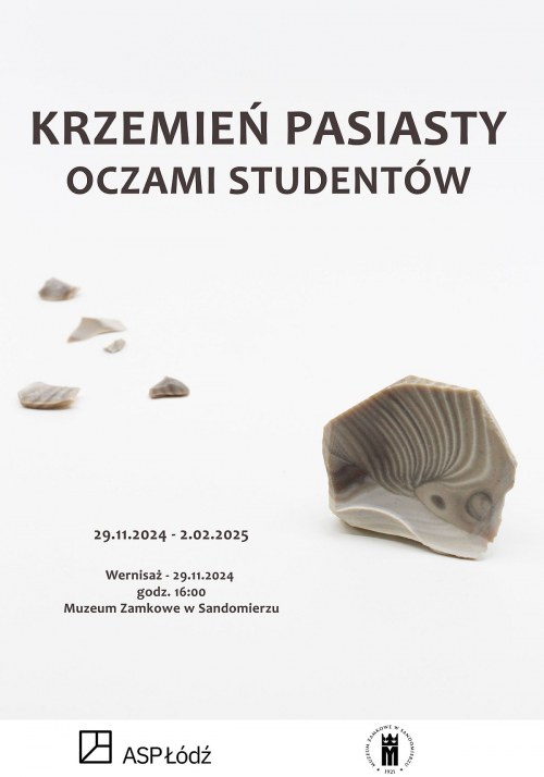 Krzemień pasiasty oczami studentów