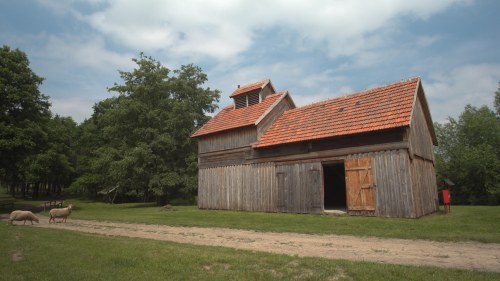 DZIEDZICTWO NOWOTOMYSKICH OLĘDRÓW. CHMIEL - HISTORIA UPRAWY W WIELKOPOLSCE