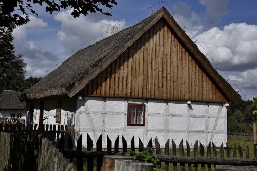 DZIEDZICTWO NOWOTOMYSKICH OLĘDRÓW. CHMIEL - HISTORIA UPRAWY W WIELKOPOLSCE