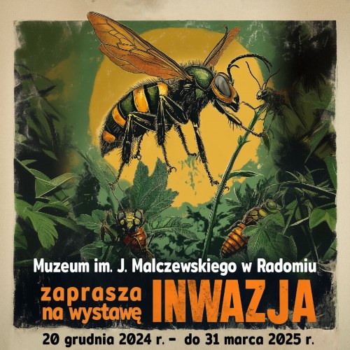Inwazja