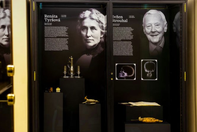 Muzeum od piwnicy do strychu