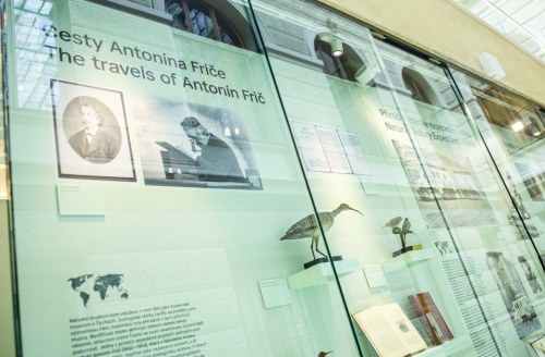 Expedition of the National Museum