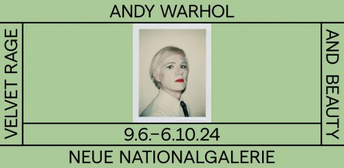 Andy Warhol Velvet Rage and Beauty