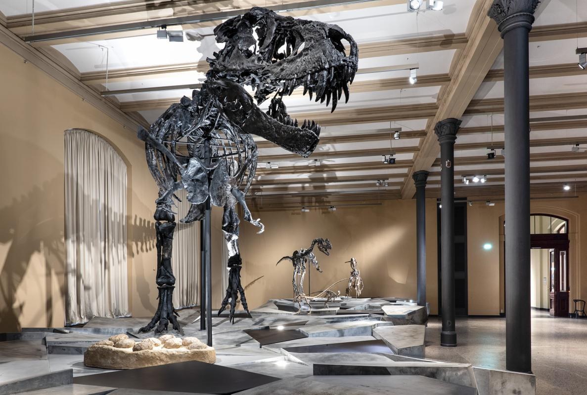 DINOSAURIER! Zeitalter der Riesenechsen