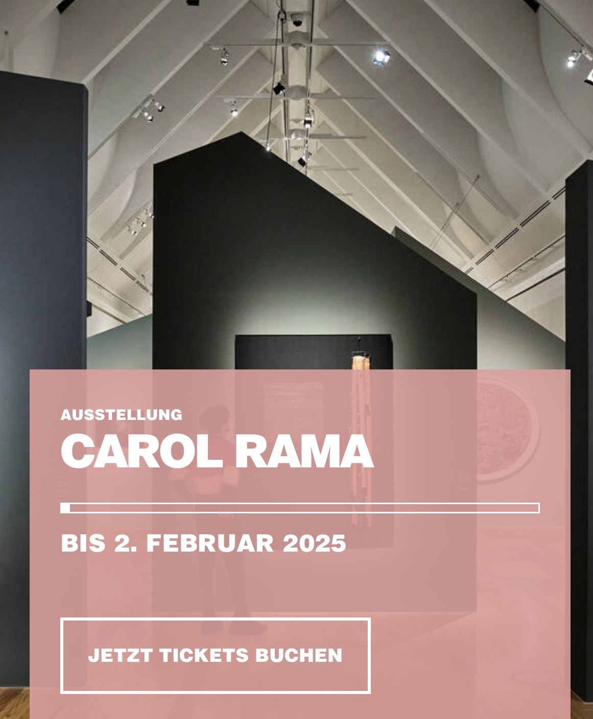 CAROL RAMA. REBELLIN DER MODERNE