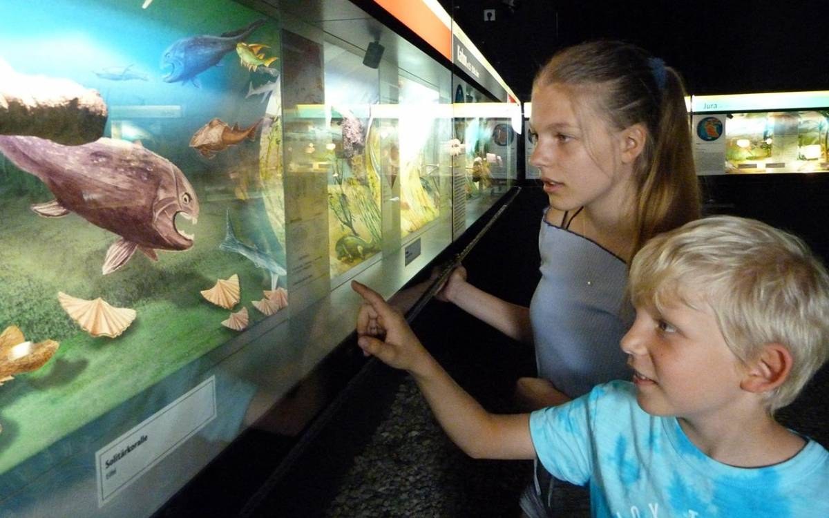 Strefa tematyczna Kamienie