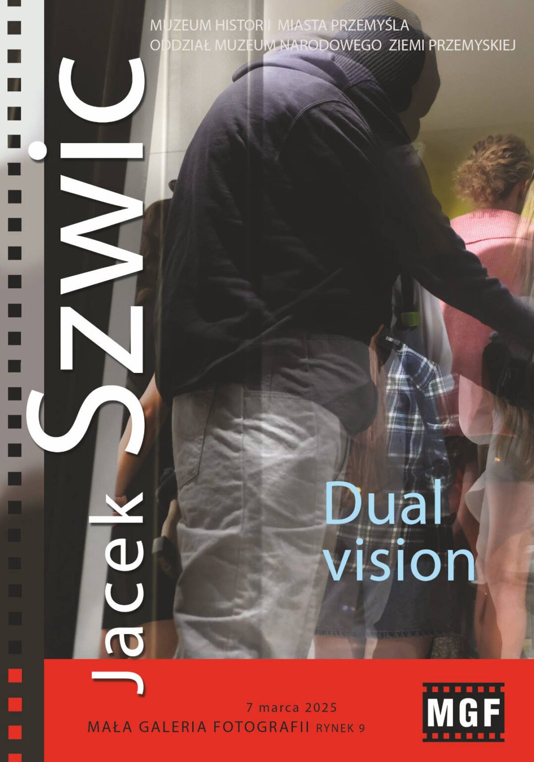 Dual vision