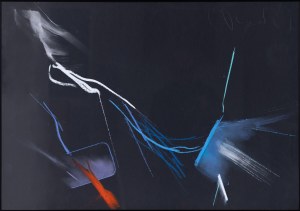Andrzej Dudziński, GEOMETRIE SAUVAGE_6919, 2015