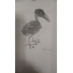 Józef Wilkoń (ur.1930), Pisklątko szkic do ilustracji, 2015