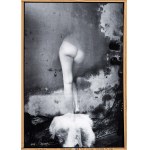 Jan Saudek (ur. 1935), Na dosah