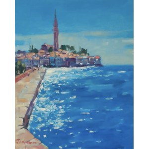 Tigran Manukyan, Rovinj