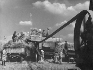 Henryk Hermanowicz, Młocka, 1958