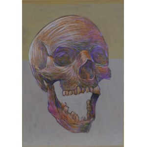 Jonasz Koperkiewicz (ur. 1988), New skull, 2020