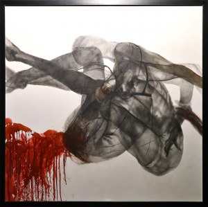 Wojciech Pelc, Defloracja, 2008