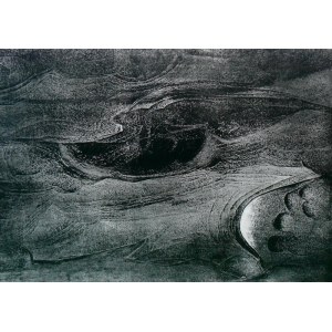 Henryk OPAŁKA  57x79cm, Videolit III