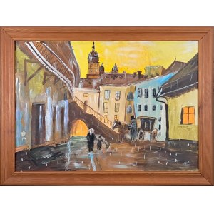 Piotr Adamczyk, Backyard in Krakow's Kazimierz II - inspector Miroslaw Szeib.