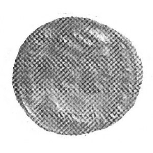 AE-20, Thessalonica, Aw: FLAVI MAX FAVSTA AVG, Rw: SPES...