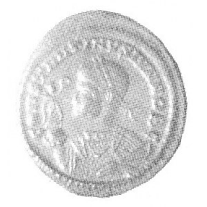 AE-20, Siscia, Aw: CONSTANTINVS IVN NOB C, Rw: VIRTVS E...