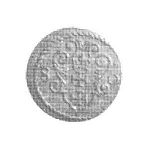 denar 1580, Gdańsk, Aw: Orzeł, Rw: Herb Gdańska, Kop. I...
