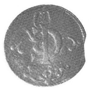 szeląg 1650, Wschowa, Aw: Monogram pod koroną, Rw: Napi...