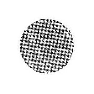 denar 1571, Królewiec, Aw: AF, Rw: Orzeł pruski, Kop. I...