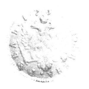 rubel 1756, Moskwa, Aw: Popiersie i napis, Rw: Orzeł i ...
